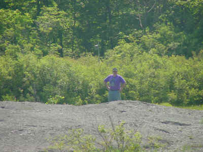 bb1.jpg (126662 bytes)