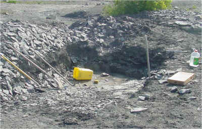 dig2.jpg (116808 bytes)