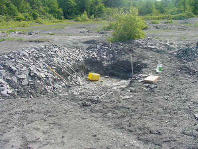 dig.jpg (161469 bytes)