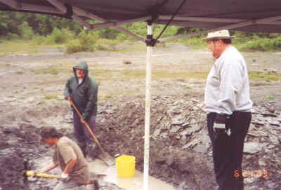 Image4.jpg (71919 bytes)