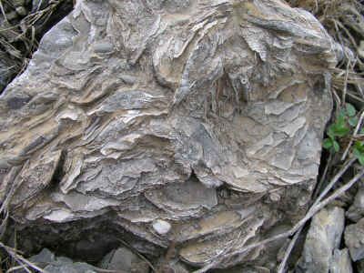 trip_2004_March_27 016.jpg