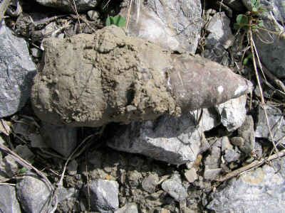 trip_2004_March_27 017.jpg