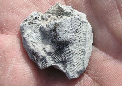 trip_2004_March_27 122.jpg